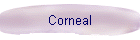 Corneal