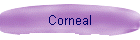 Corneal